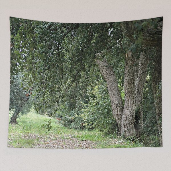 Item preview, Forest Path Cork Oak Tree designed and sold by worldways.