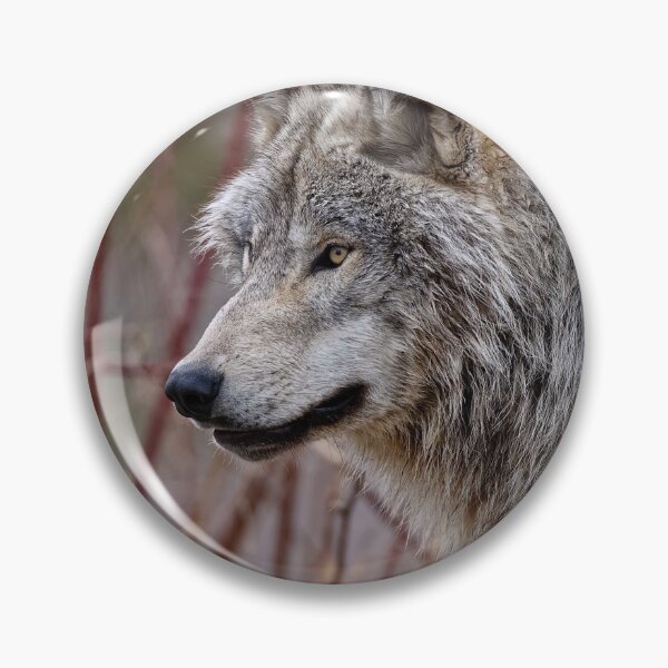 Item preview, Gray Wolf designed and sold by Michael Cummings.