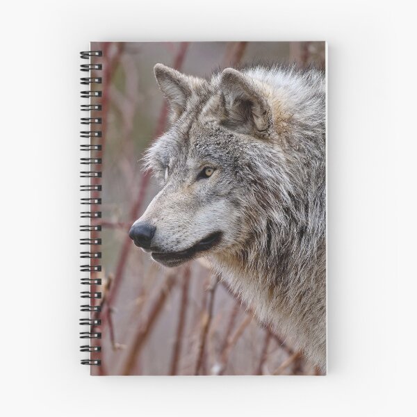 Item preview, Gray Wolf designed and sold by Michael Cummings.