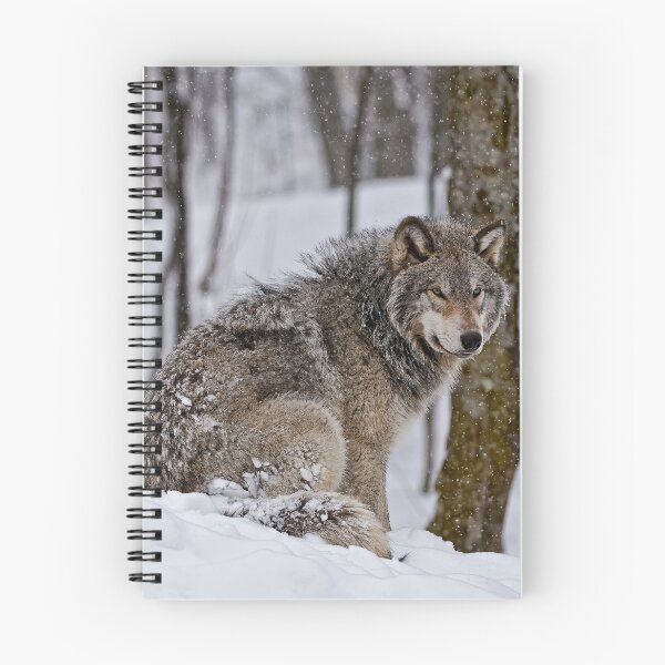 Artikelvorschau, Timberwolf im Schnee entworfen und verkauft von Michael Cummings.