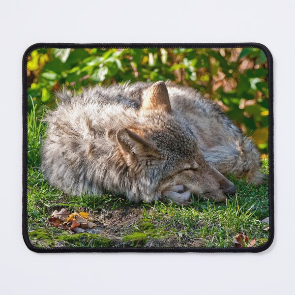 Item preview, Timber Wolf designed and sold by Michael Cummings.