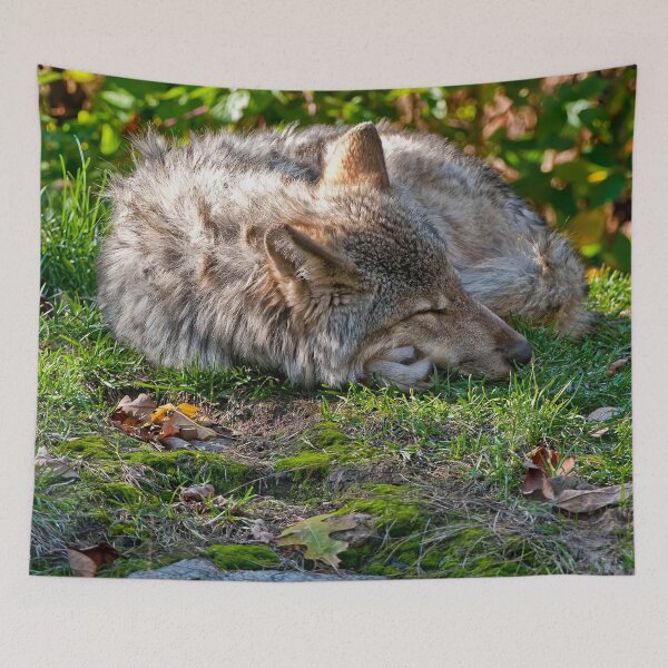 Item preview, Timber Wolf designed and sold by Michael Cummings.