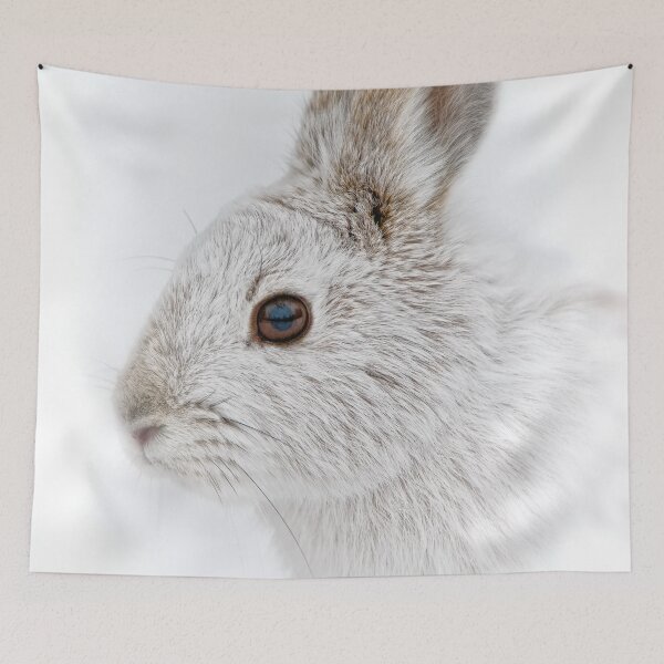 Item preview, Snow Shoe Hare designed and sold by Michael Cummings.