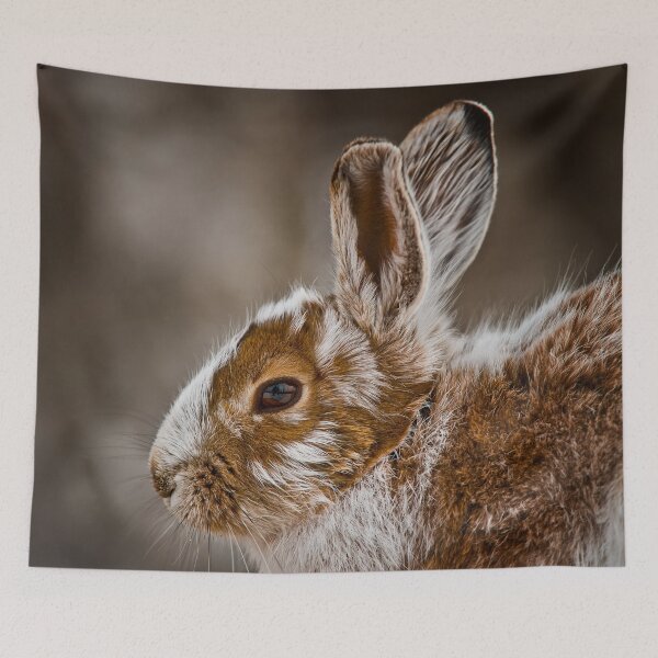 Item preview, Show Shoe Hare designed and sold by Michael Cummings.