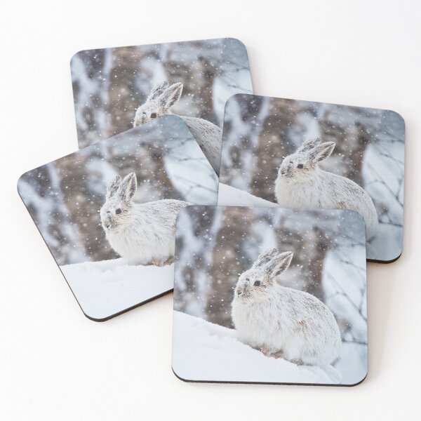 Item preview, Snow Shoe Hare designed and sold by Michael Cummings.