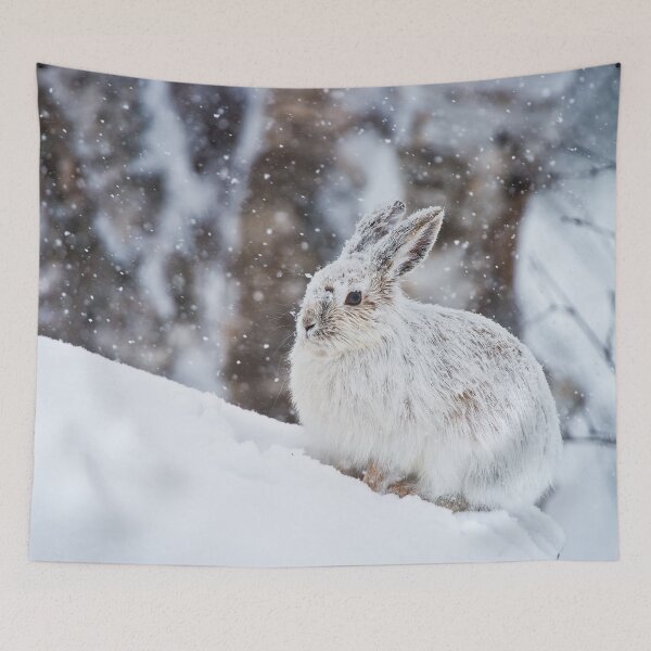Item preview, Snow Shoe Hare designed and sold by Michael Cummings.