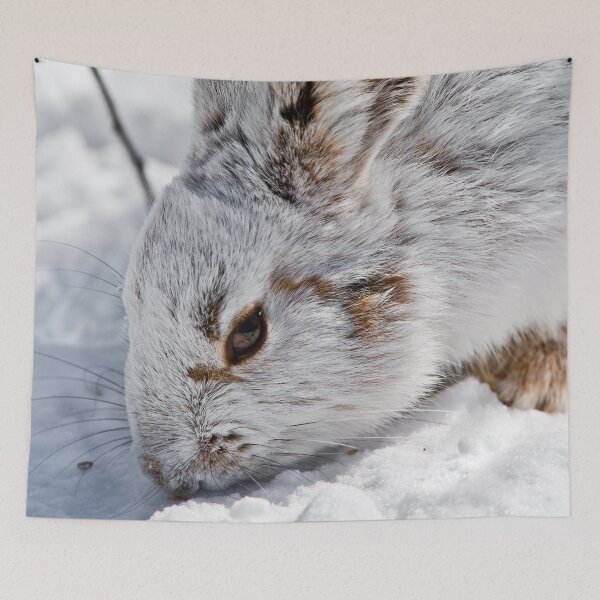 Item preview, Snow Shoe Hare designed and sold by Michael Cummings.