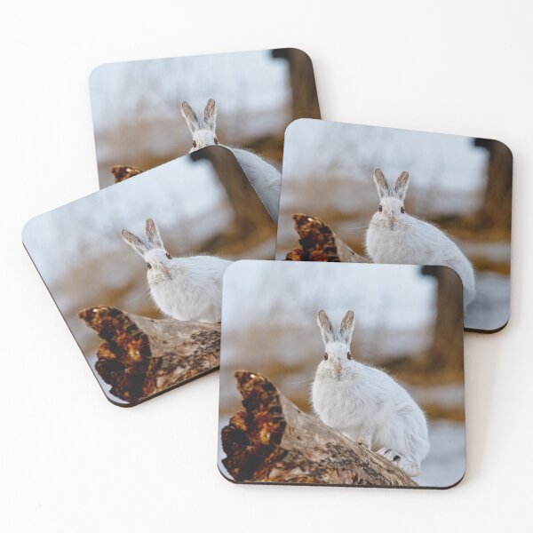 Item preview, Snow Shoe Hare On Log designed and sold by Michael Cummings.