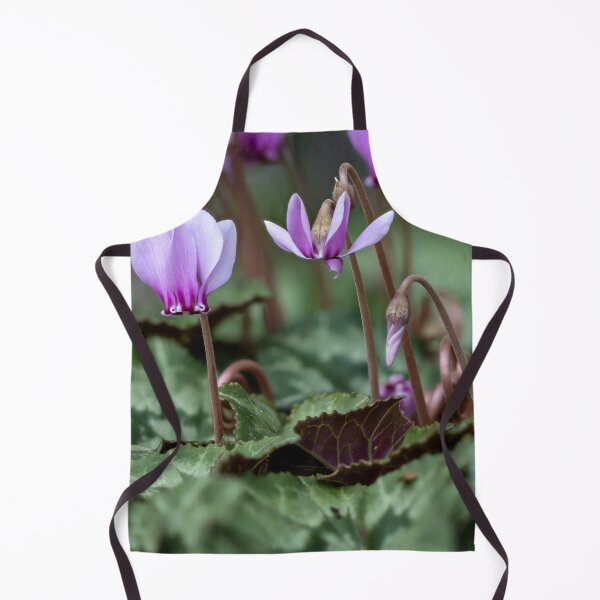 Item preview, Cyclamen hederifolium (ivy-leaved cyclamen) designed and sold by Graham Prentice.