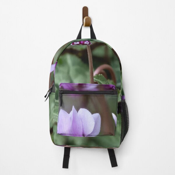 Item preview, Cyclamen hederifolium (ivy-leaved cyclamen) designed and sold by Graham Prentice.