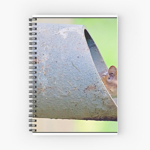 Item preview, Chipmunk in a Drainpipe designed and sold by AMacGPhilly.