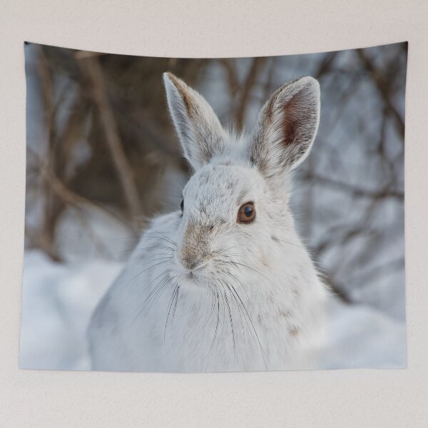 Item preview, Snow Shoe Hare designed and sold by Michael Cummings.