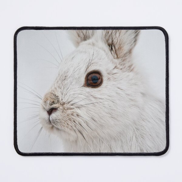 Item preview, Snow Shoe Hare designed and sold by Michael Cummings.