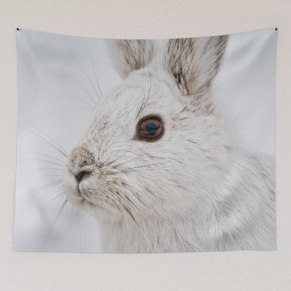 Item preview, Snow Shoe Hare designed and sold by Michael Cummings.