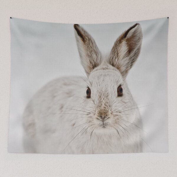 Item preview, Snow Shoe Hare designed and sold by Michael Cummings.
