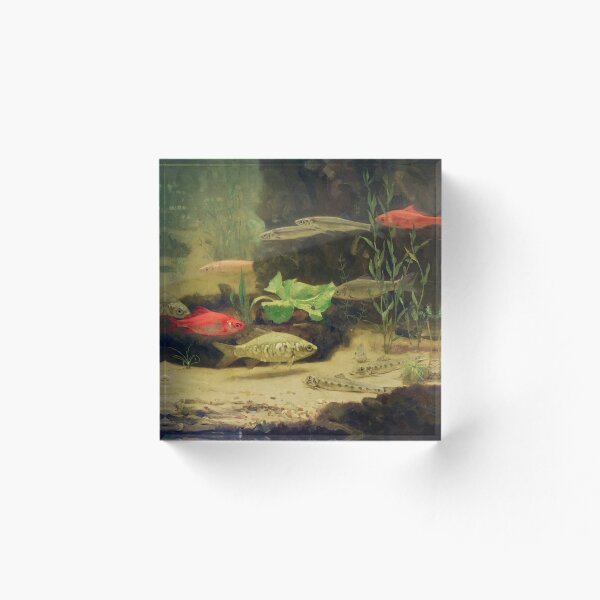 Item preview, Gold- and Silverfish in an Aquarium designed and sold by LamyMe.