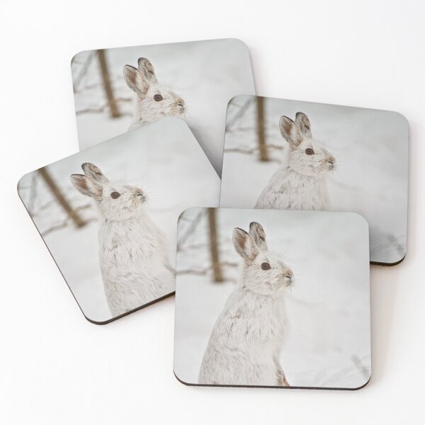 Item preview, Show Shoe Hare designed and sold by Michael Cummings.