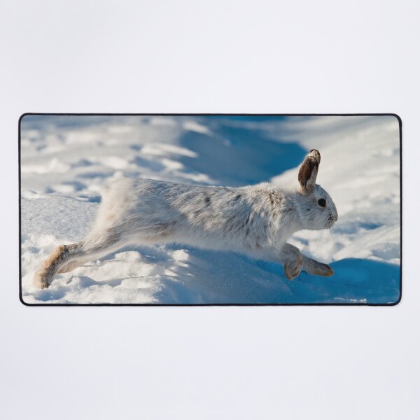 Item preview, Snow Shoe Hare designed and sold by Michael Cummings.