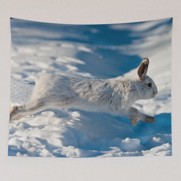 Item preview, Snow Shoe Hare designed and sold by Michael Cummings.