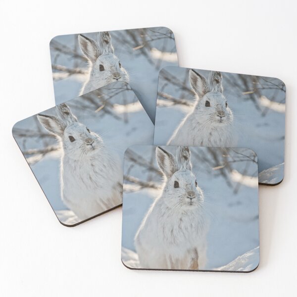 Item preview, Snow Shoe Hare designed and sold by Michael Cummings.