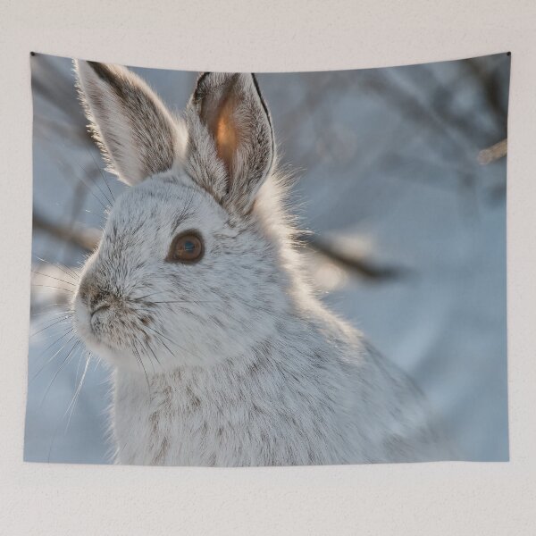 Item preview, Snow Shoe Hare designed and sold by Michael Cummings.