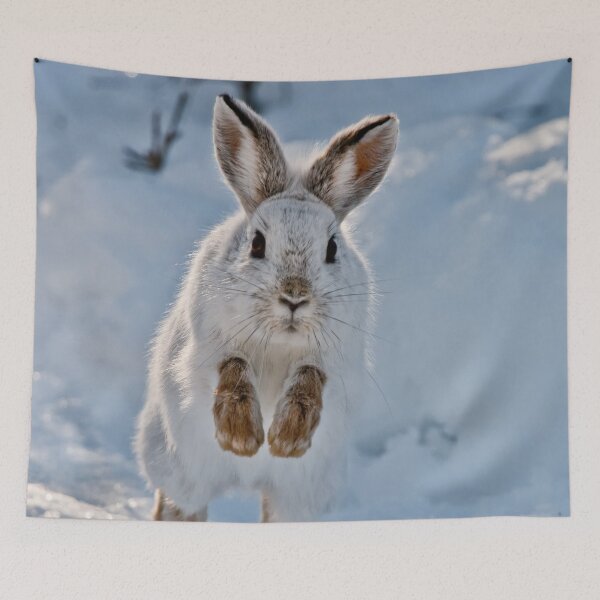 Item preview, Snow Shoe Hare designed and sold by Michael Cummings.