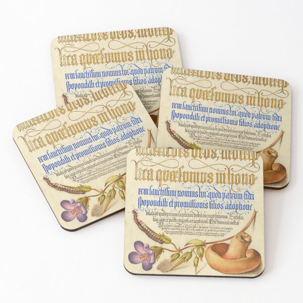 Item preview, Naturalist Manuscript: Flowers, Insect, Mushroom, and Calligraphy Illumination by Joris Hoefnagel designed and sold by Naturalist Prints.
