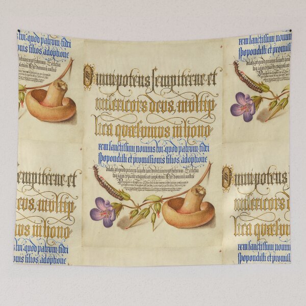 Item preview, Naturalist Manuscript: Flowers, Insect, Mushroom, and Calligraphy Illumination by Joris Hoefnagel designed and sold by Naturalist Prints.