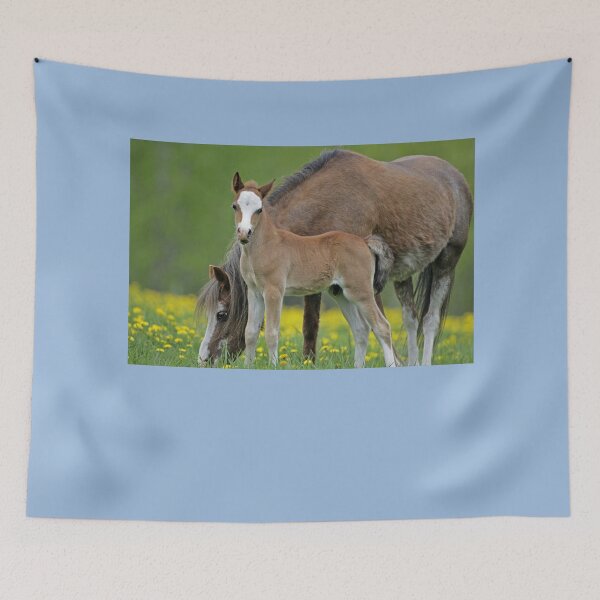 Item preview, Welsh Pony Mare and Colt designed and sold by ScienceSource.