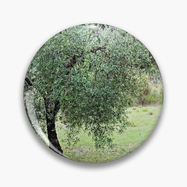 Item preview, Olive Tree Mediterranean Grove designed and sold by Anna Lemos.