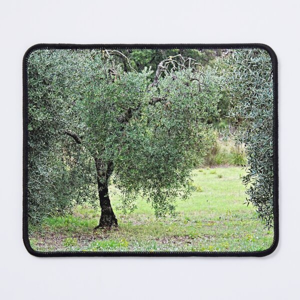 Item preview, Olive Tree Mediterranean Grove designed and sold by Anna Lemos.