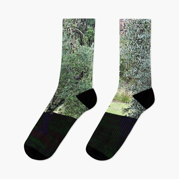 Item preview, Olive Tree Mediterranean Grove designed and sold by Anna Lemos.