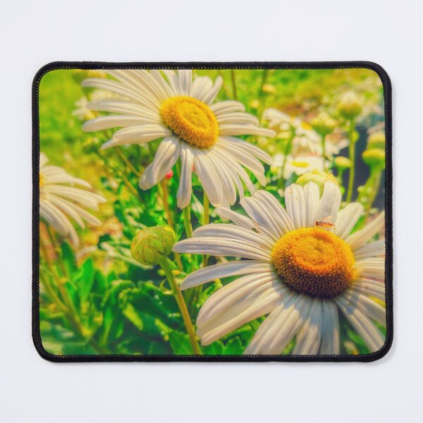 Item preview, Stylized Vintage White Gerber Daisies  with a cute little bug on the petals. designed and sold by PrettyLittlePic.