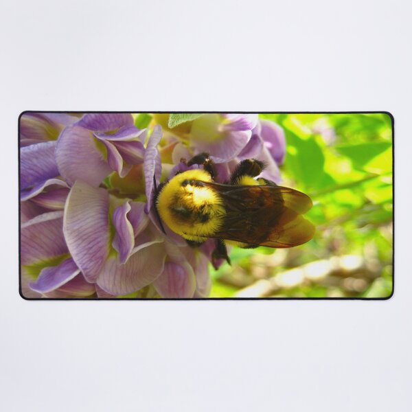 Item preview, Bumblebee on Purple Wisteria Blush with Purple Flowers on a Warm Sunny Spring Day designed and sold by PrettyLittlePic.