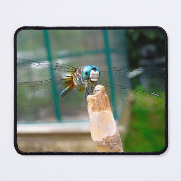 Item preview, Adorable Dragonfly resting on a Bamboo Post on a Warm Summer Day  designed and sold by PrettyLittlePic.