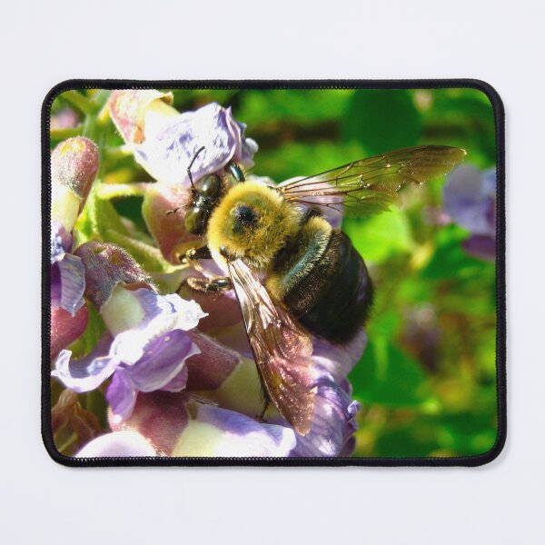 Item preview, Adorable Fuzzy Bumblebee on Purple Wisteria Blush with Purple Flowers on a Warm Sunny Spring Day designed and sold by PrettyLittlePic.