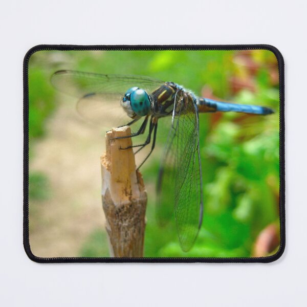 Item preview, Cute Dragonfly resting on a Bamboo Post on a Warm Summer Day designed and sold by PrettyLittlePic.