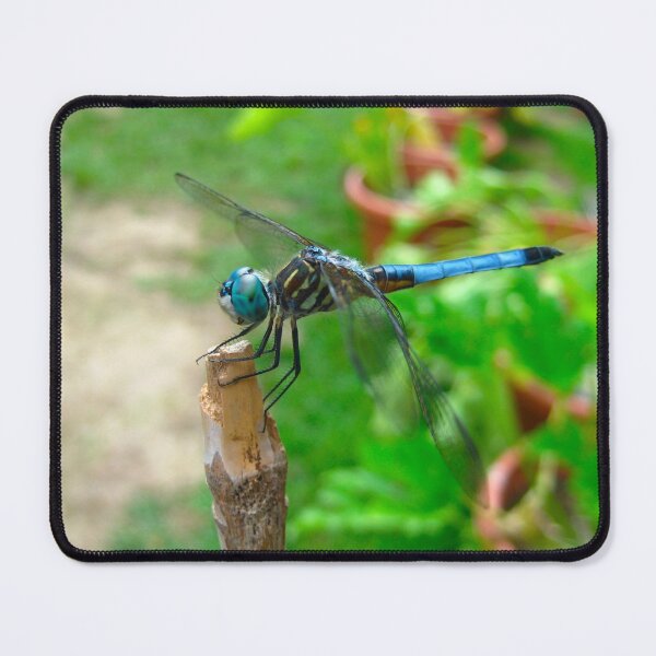 Item preview, Cute Dragonfly resting on a Bamboo Post on a Warm Summer Day designed and sold by PrettyLittlePic.