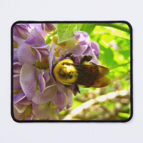 Item preview, Bumblebee on Purple Wisteria Blush with Purple Flowers on a Warm Sunny Spring Day designed and sold by PrettyLittlePic.