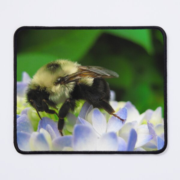 Item preview, Adorable Fuzzy Bumblebee on Blue Hydrangea Flowers on a Hot Summer Day designed and sold by PrettyLittlePic.