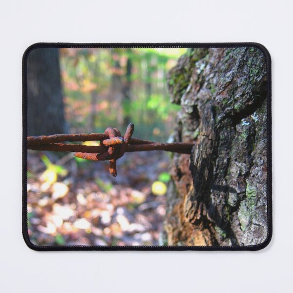 Item preview, Rusted Barbed Wire Grown into Large Tree from Old Mountain Pasture designed and sold by PrettyLittlePic.