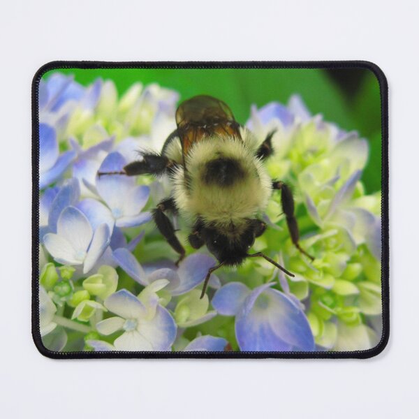 Item preview, Cute Fuzzy Bumblebee on Blue Hydrangea Flowers on a Hot Summer Day designed and sold by PrettyLittlePic.