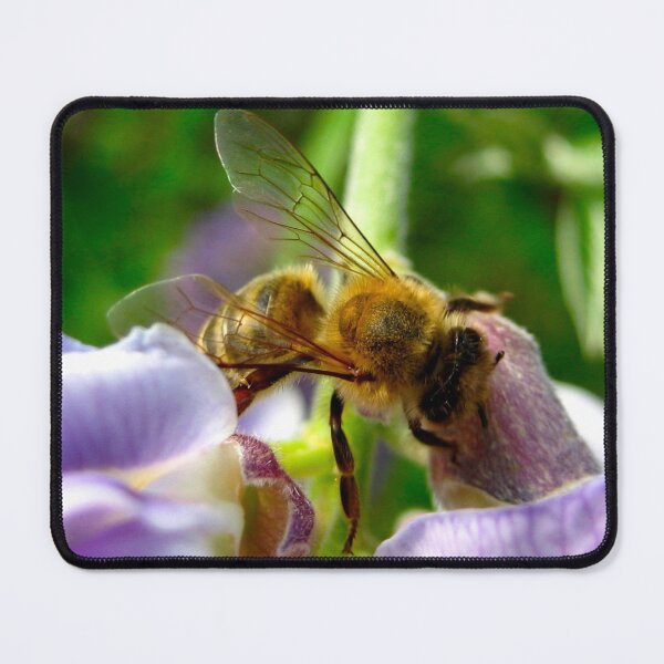 Item preview, Honey Bee on Purple Wisteria Blush with Purple Flowers designed and sold by PrettyLittlePic.