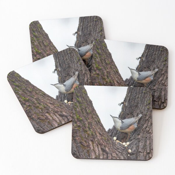 Item preview, Where did that come from. Eurasian nuthatch designed and sold by Jouko Lehto Photography.