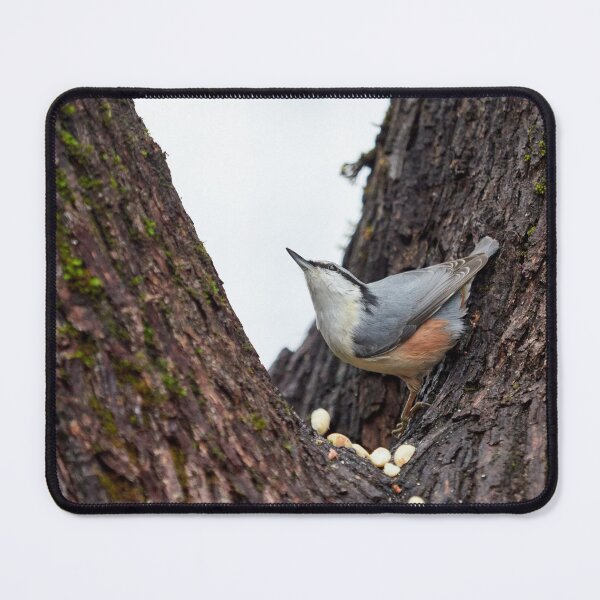 Item preview, Where did that come from. Eurasian nuthatch designed and sold by Jouko Lehto Photography.