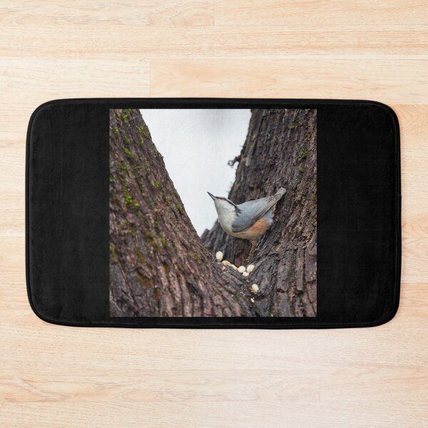 Item preview, Where did that come from. Eurasian nuthatch designed and sold by Jouko Lehto Photography.