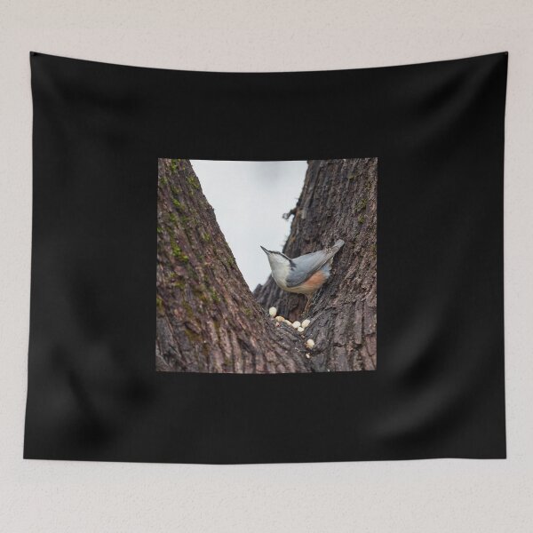 Item preview, Where did that come from. Eurasian nuthatch designed and sold by Jouko Lehto Photography.