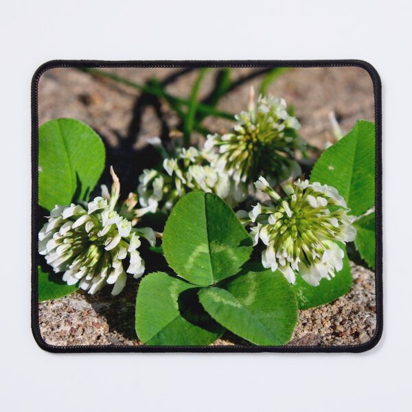 Item preview, Green Flowering Clovers St Patrick’s Day Design designed and sold by PrettyLittlePic.