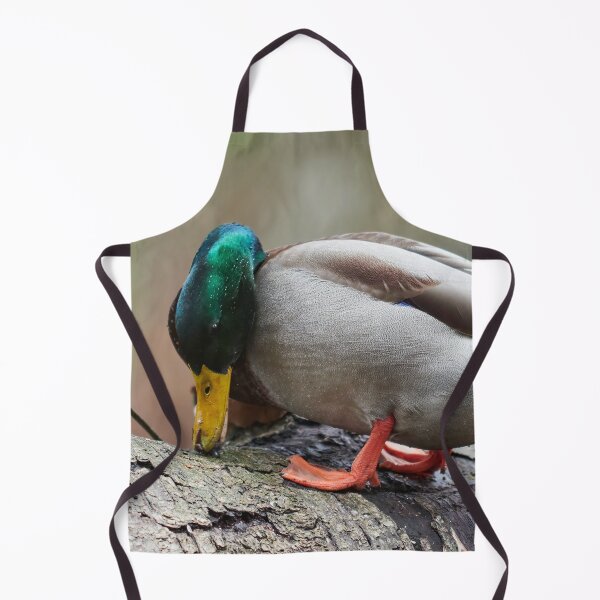 Item preview, Finding the seed. Mallard designed and sold by Jouko Lehto Photography.