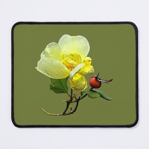 Item preview, Last Rose of Summer designed and sold by Susan Savad.
